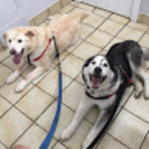 Meet your Posher, A - Picture 1 of 1